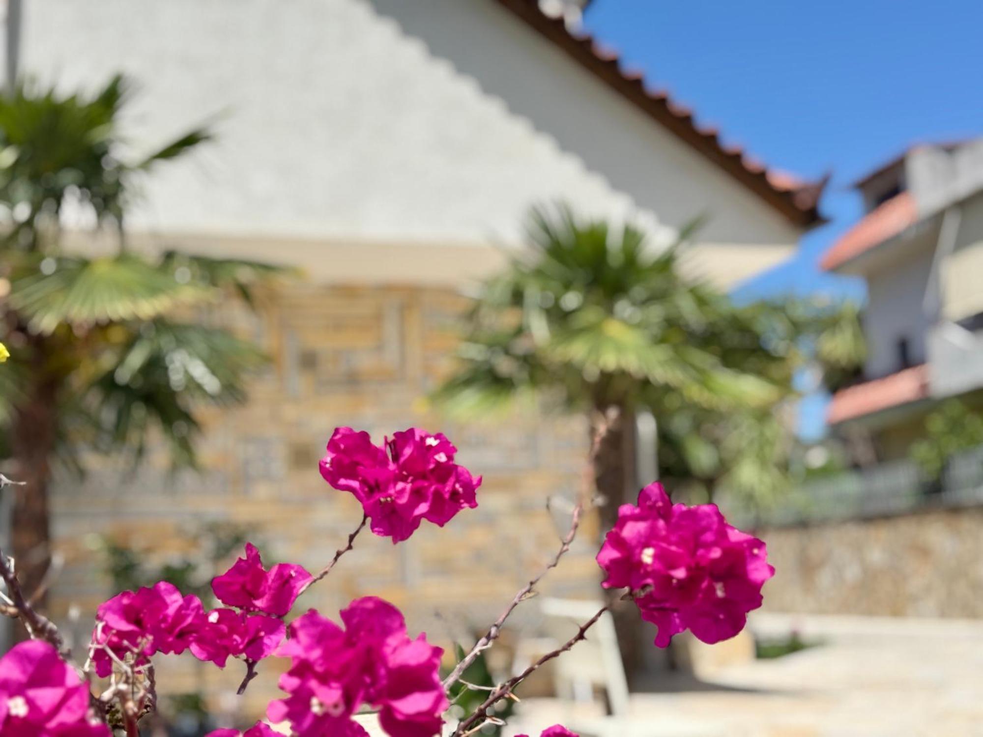 Villa Ida Apartments Vlore Ngoại thất bức ảnh