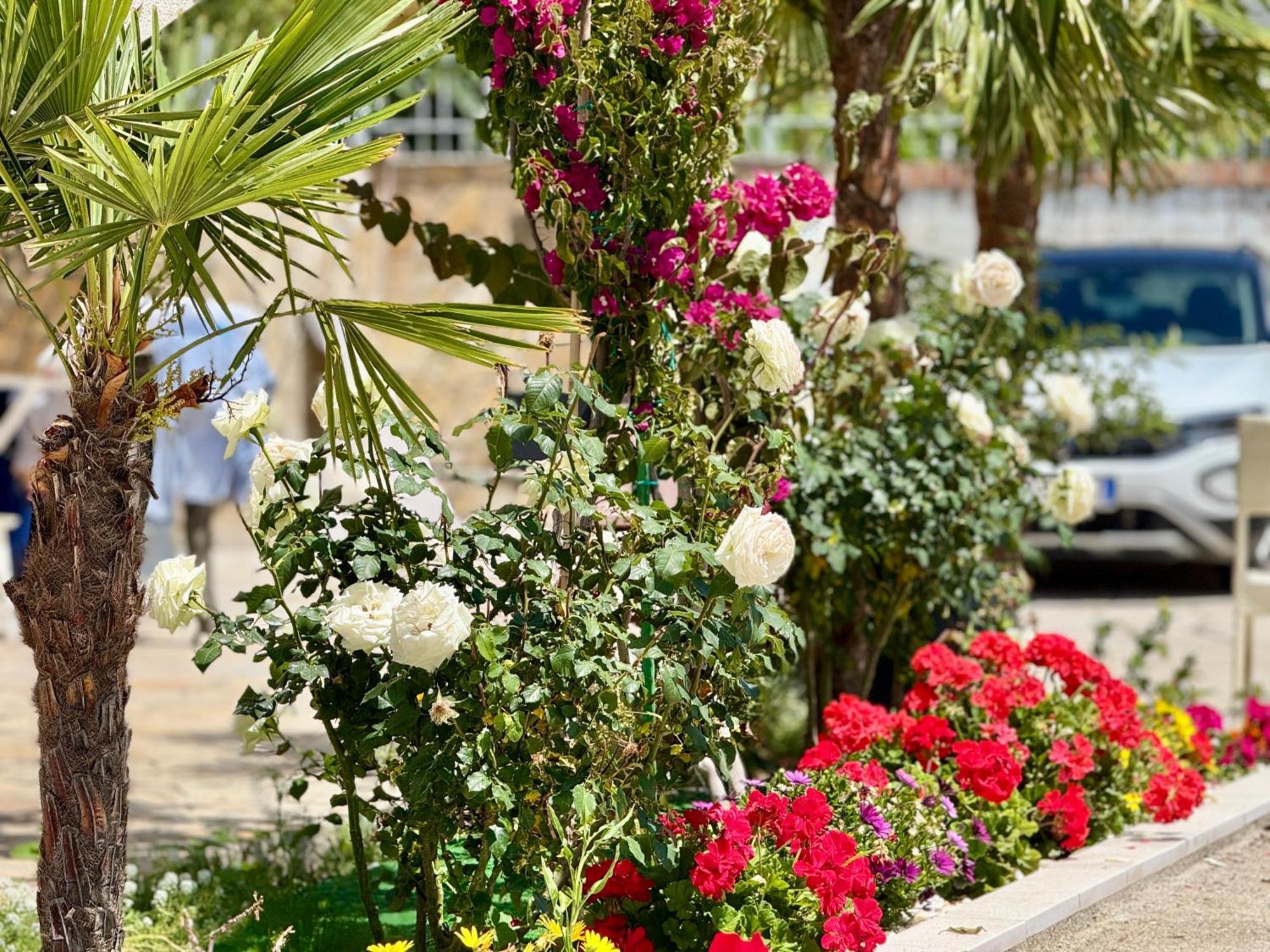 Villa Ida Apartments Vlore Ngoại thất bức ảnh